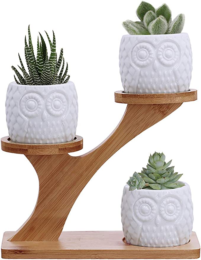 Owl Pots with Bamboo Stand