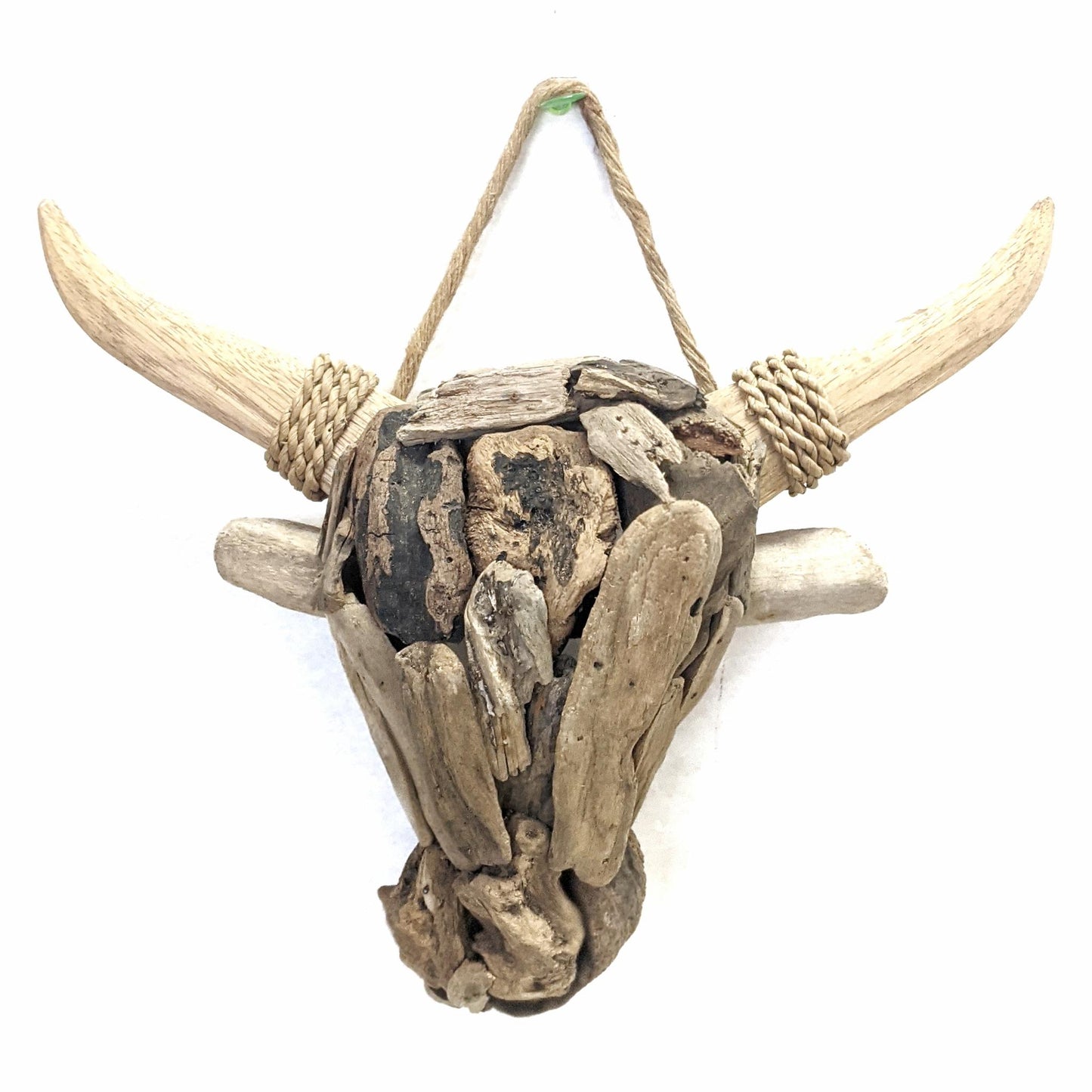 Small Driftwood bull head