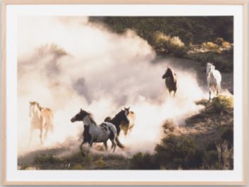 Running Horses - Oak Framed Print